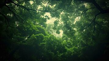 mistico fantasia foresta denso con verde alberi ai generativo foto