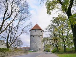 torre di artiglieria a sei piani nel centro storico di tallinn, estonia foto