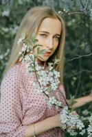 bionda ragazza su un' primavera camminare nel il giardino con ciliegia fiori. femmina ritratto, avvicinamento. un' ragazza nel un' rosa polka punto vestire. foto