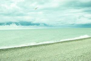 il pittoresco costa di il nero mare, il concetto di mare viaggio e vacanza. foto