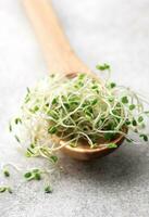 microgreens cresciuto nel un' barattolo. foto