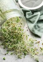 microgreens cresciuto nel un' barattolo. foto