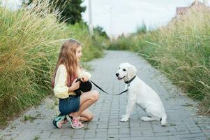 cucciolo labrador cane da riporto e poco ragazza foto