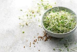 microgreens cresciuto nel un' barattolo. foto