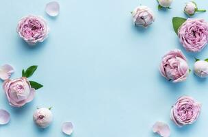 rosa rosa fiori su pastello blu sfondo foto