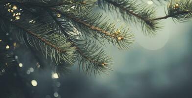 d'oro pino ramo con Natale luci. allegro Natale sfondo. ai generato foto