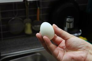 foto di un' umano mano Tenere un' bollito uovo