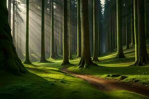 un' sentiero attraverso un' foresta con alberi e raggi di sole. ai-generato foto