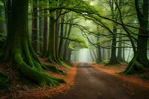un' sentiero attraverso un' foresta con alberi e nebbia. ai-generato foto