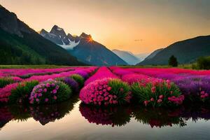 un' campo di rosa fiori nel davanti di montagne. ai-generato foto