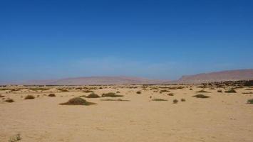 rovine gaochang inturpan provincia dello xinjiang cina. foto