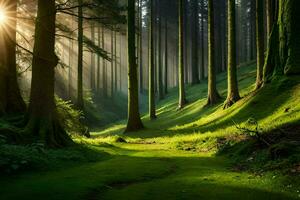 un' sentiero attraverso un' foresta con sole splendente attraverso il alberi. ai-generato foto