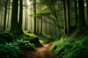 un' sentiero attraverso un' verde foresta con muschioso alberi. ai-generato foto