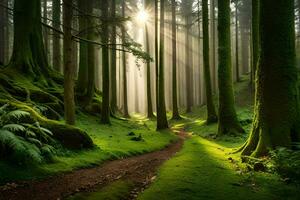 un' sentiero attraverso un' verde foresta con alberi e raggi di sole. ai-generato foto
