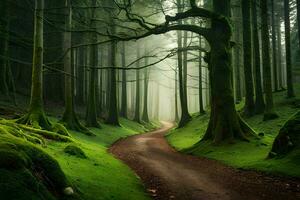 un' sentiero attraverso un' verde foresta con alberi e muschio. ai-generato foto