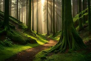 un' sentiero attraverso un' foresta con alberi e raggi di sole. ai-generato foto