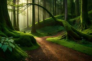 un' sentiero attraverso un' verde foresta con muschioso alberi. ai-generato foto