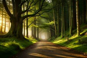 un' strada nel il foresta con alberi e sole. ai-generato foto