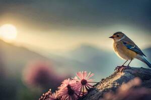 foto sfondo il uccello, fiori, montagne, tramonto, uccello, uccello, uccello, uccello,. ai-generato