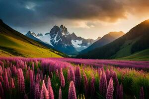 il sole brilla su un' campo di viola fiori nel il montagne. ai-generato foto