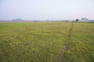 nebbioso verde campo nel mattina Alba foto