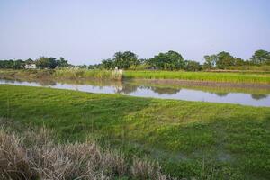 verde campi, prati, e blu cielo paesaggio Visualizza con padma fiume canale nel bangladesh foto