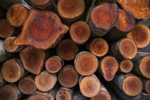 impilati mucchio legna logs astratto modello struttura può essere Usato come un' sfondo sfondo foto