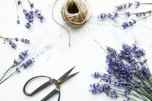 fiori di lavanda, forbici e corda foto