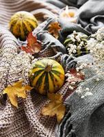 zucche autunnali, sciarpa lavorata a maglia, foglie d'acero e candela.