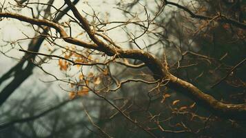 lussureggiante alberi con no le foglie sinistra solo ramoscelli e rami, ai generativo foto