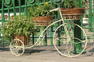 estate decorativo bianca bicicletta con cestino fiori nel verde giardino. fiore pentole nel ornato bicicletta nel città parco. paesaggio design. decorativo fiore In piedi nel il forma di un' bicicletta con fiore pentole foto