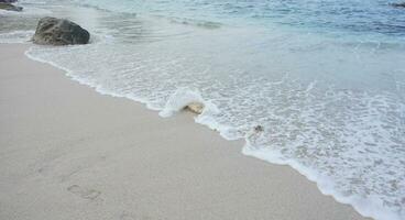 bellissimo spiaggia e blu mare acqua quello incontra il spiaggia sabbia con schiuma. tropicale mare. tropicale paesaggio nel marina spiaggia, lampada. bellissimo spiaggia sabbia. Visualizza simpatico tropicale spiaggia nel lampung foto