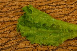 foglie di insalata verde foto