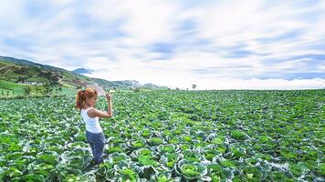 la donna sta leggendo su una rapa da giardino. atmosfera mattutina le montagne sono nebbiose. phetchabun phutubberg thailandia foto