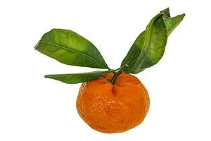 mandarino maturo dolce gustoso con foglie foto