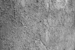 Cracked gesso struttura. vecchio intonacatura modello nero e bianca monocromatico sfondo foto