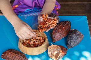 ispezionare le fave di cacao per l'ordinamento foto