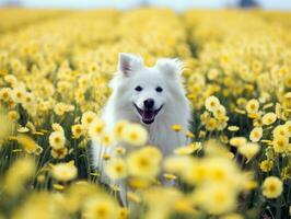 curioso cane esplorando un' campo di fioritura Fiore di campo ai generativo foto