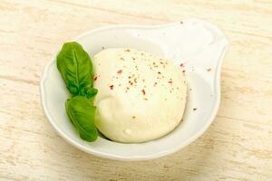 Mozzarella formaggio al di sopra di di legno sfondo foto