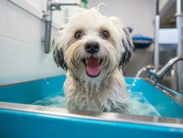 sereno cane godendo un' massaggio a un' animale domestico terme ai generativo foto