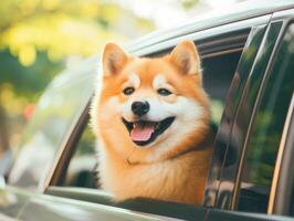 contento cane equitazione nel un' auto con suo testa su il finestra ai generativo foto