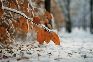 nevoso foresta con gelido rami ornato di vivace autunno fogliame ai generato foto