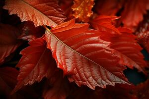 vivace tonalità su un autunno foglia imitare oro e cremisi fondali ai generato foto