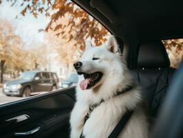 contento cane equitazione nel un' auto con suo testa su il finestra ai generativo foto