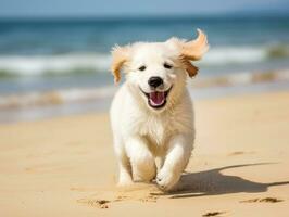 contento cane giocando su il spiaggia ai generativo foto