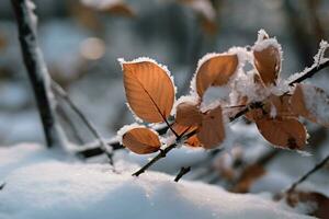 brina baciato rami don autunni vivace colori nel un' nevoso boschi ai generato foto