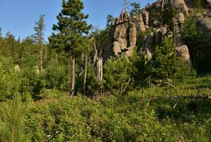 sbalorditivo Visualizza di roccia formazioni e fiori selvatici nel Sud dakota foto