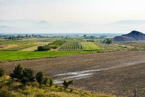 rurale paesaggio nel ararat pianura, Armenia nel autunno foto