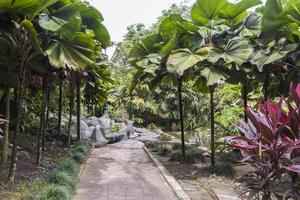 parco perfetto e pulito giardini botanici perdana a kuala lumpur.