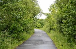 strada asfaltata vuota in campagna foto